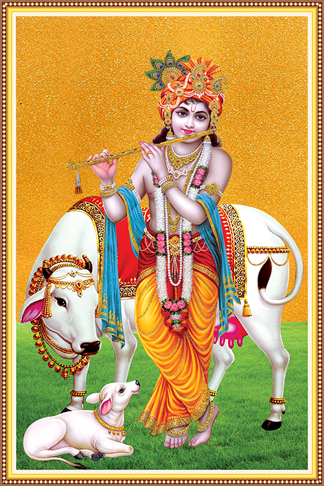 krishna_208