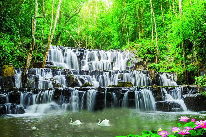 natural-art_174