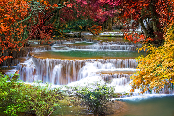 natural-art_183
