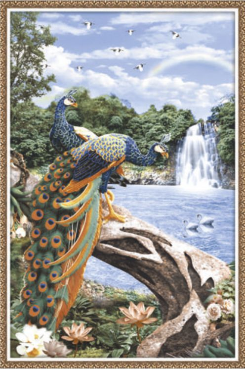 peacock-art-9080
