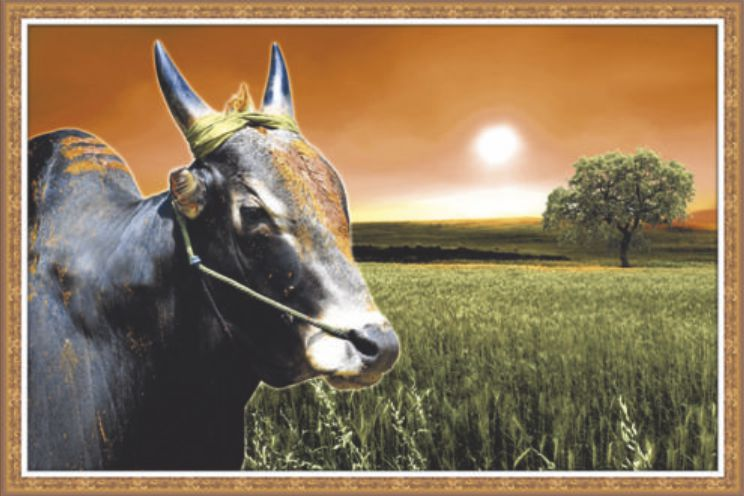 black-bull-art-9052