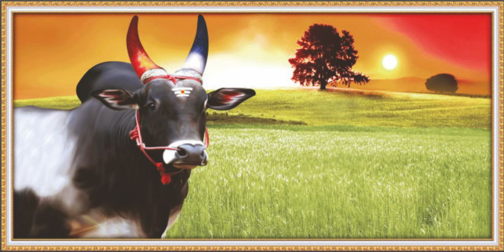 black-bull-art-736