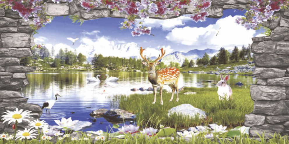 deer-lake-mountains-787