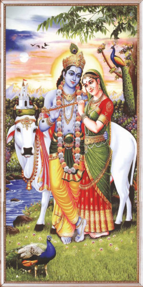 krishna-radha-709
