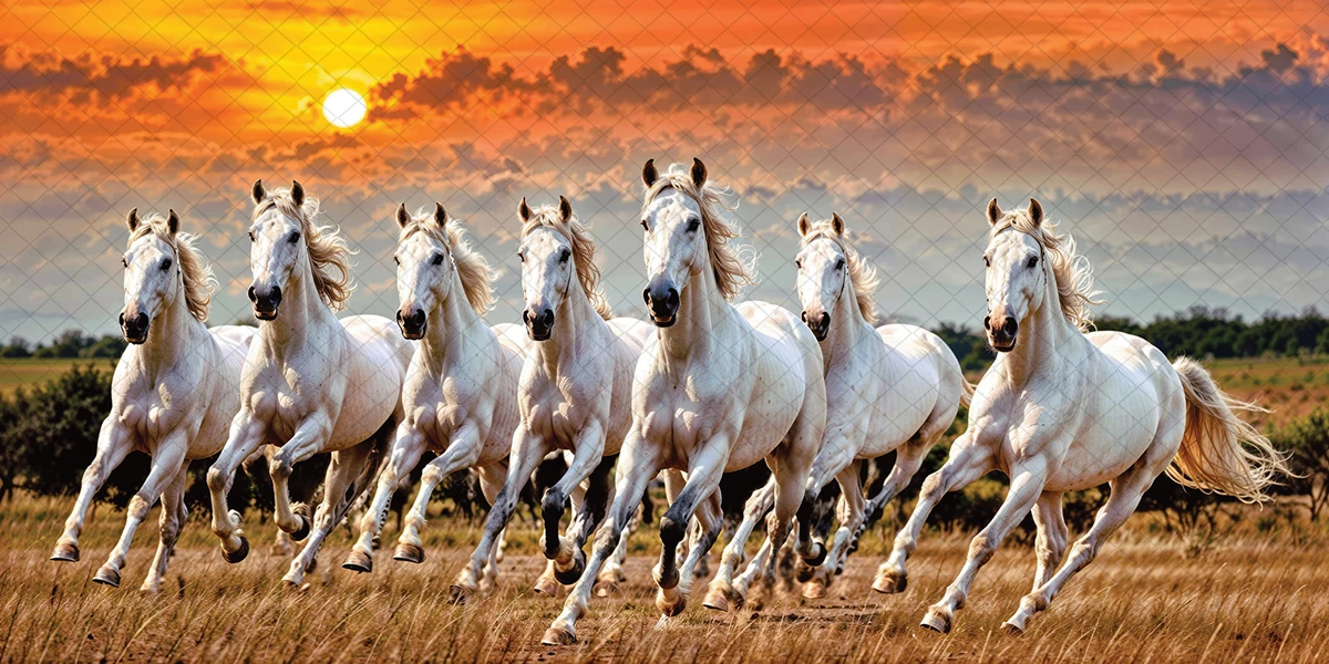 horses-13007