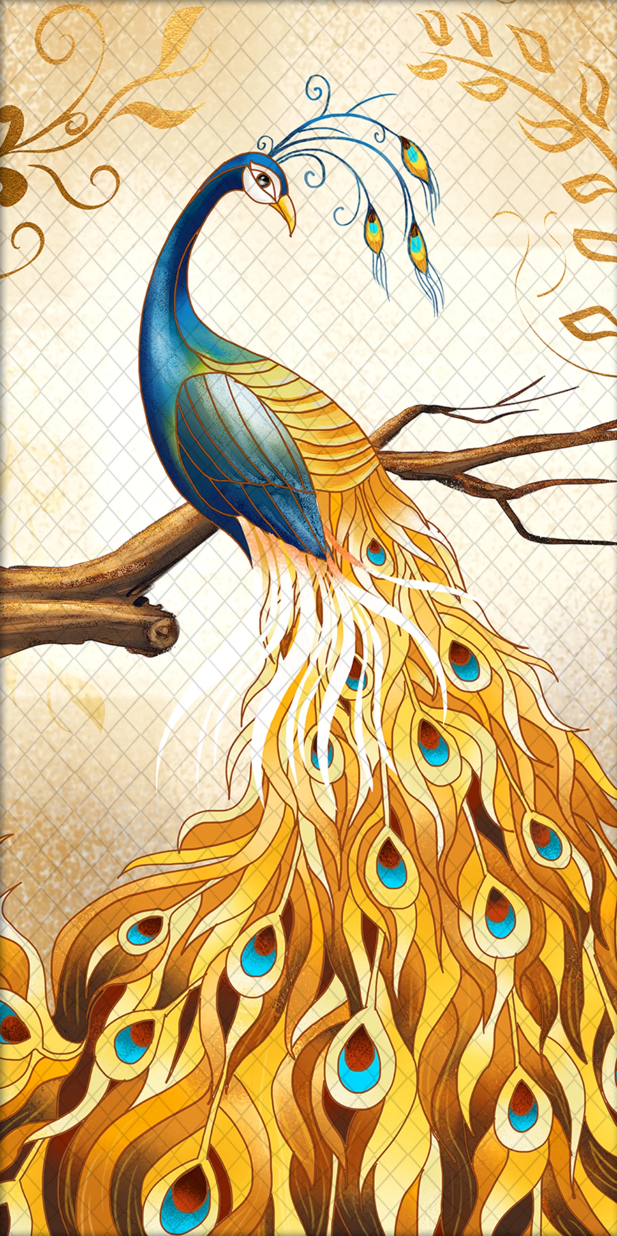 peacock-12863